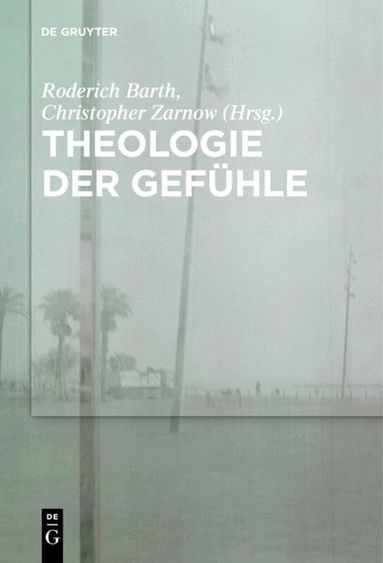 Roderich Barth, Christopher Zarnow - Theologie der Gefühle, Häftad