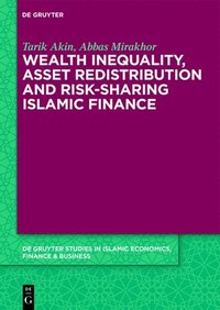 bokomslag Wealth Inequality, Asset Redistribution and Risk-Sharing Islamic Finance