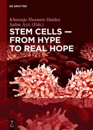 bokomslag Stem Cells - From Hype to Real Hope