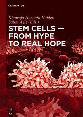 Stem Cells  From Hype to Real Hope 1