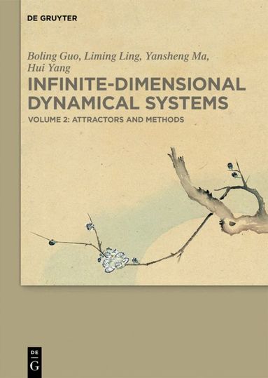 Boling Guo, Liming Ling, Yansheng Ma, Hui Yang - Attractors and Methods, Inbunden