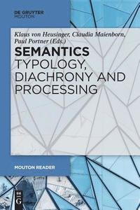 bokomslag Semantics - Typology, Diachrony and Processing