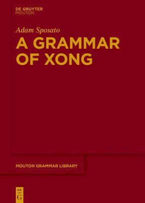 bokomslag Grammar of Xong