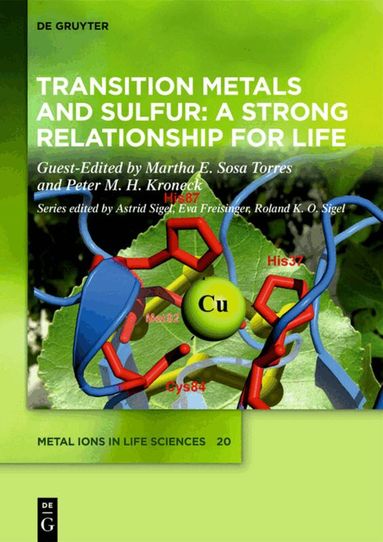 Martha Sosa Torres, Peter Kroneck - Transition Metals and Sulfur – A Strong Relationship for Life, Inbunden