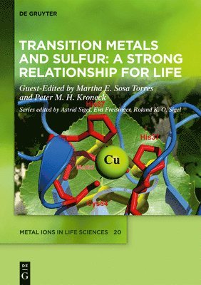 bokomslag Transition Metals and Sulfur - A Strong Relationship for Life