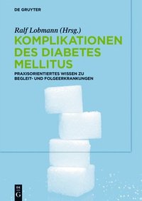 bokomslag Komplikationen des Diabetes Mellitus