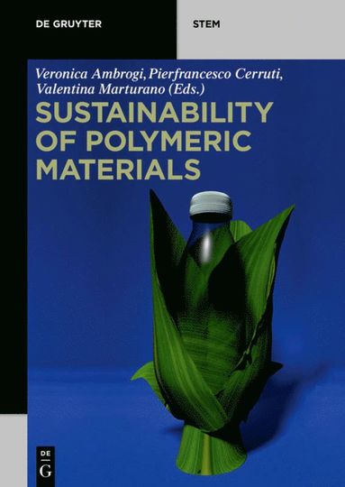 bokomslag Sustainability of Polymeric Materials