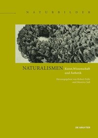 bokomslag Naturalismen