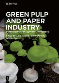 bokomslag Green Pulp and Paper Industry