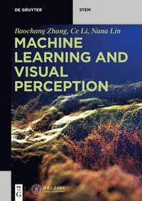 bokomslag Machine Learning and Visual Perception