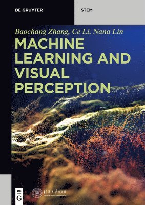 Machine Learning and Visual Perception 1