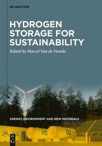 bokomslag Hydrogen Storage for Sustainability