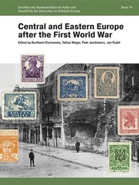 bokomslag Central and Eastern Europe after the First World War