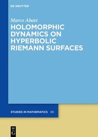 bokomslag Holomorphic Dynamics on Hyperbolic Riemann Surfaces