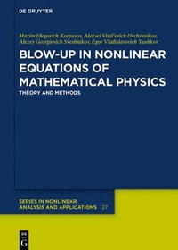 bokomslag Blow-Up in Nonlinear Equations of Mathematical Physics