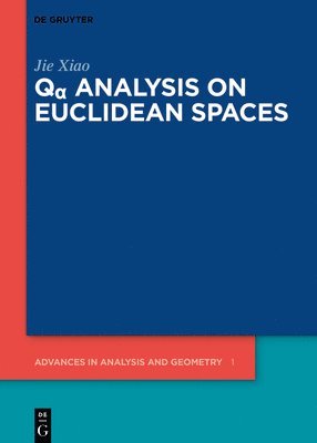 Jie Xiao - Qα Analysis on Euclidean Spaces, Inbunden