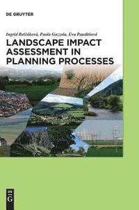 bokomslag Landscape impact assessment in planning processes