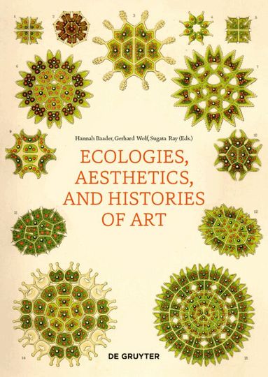 Hannah Baader, Gerhard Wolf, Sugata Ray - Ecologies, Aesthetics, and Histories of Art, Häftad