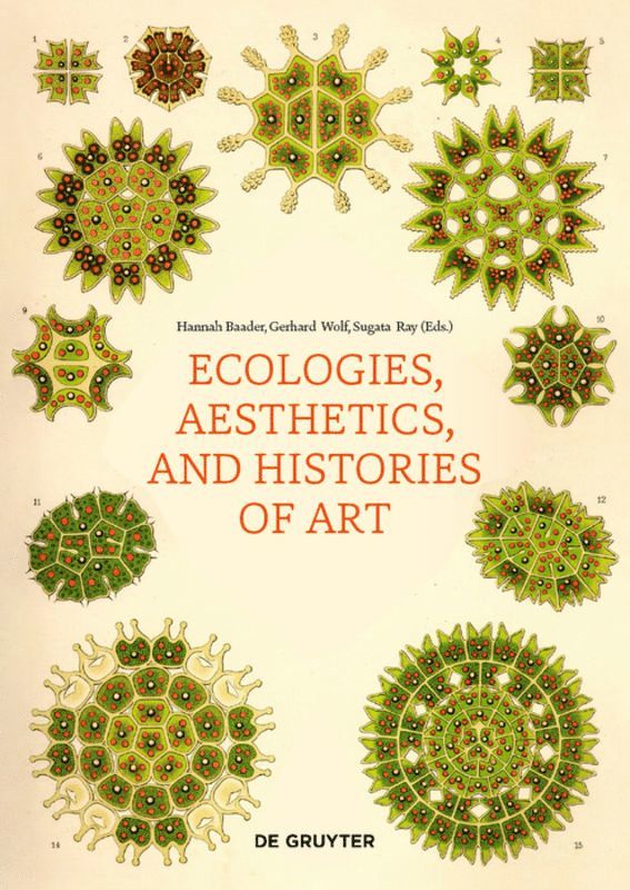 Hannah Baader, Gerhard Wolf, Sugata Ray - Ecologies, Aesthetics, and Histories of Art, Häftad