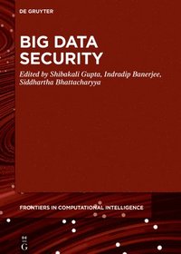 bokomslag Big Data Security