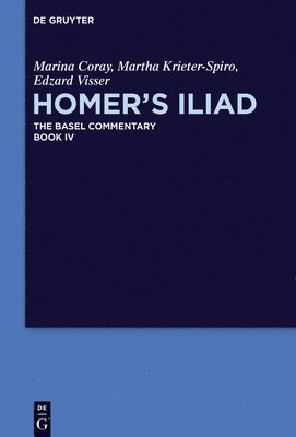 bokomslag Homers Iliad