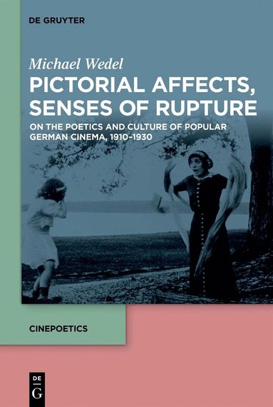 Michael Wedel - Pictorial Affects, Senses of Rupture, Inbunden