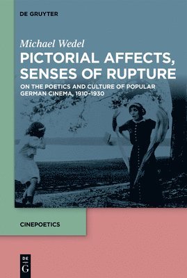 bokomslag Pictorial Affects, Senses of Rupture