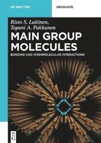 bokomslag Main Group Molecules