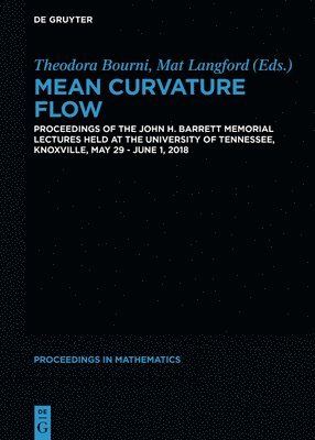 bokomslag Mean Curvature Flow