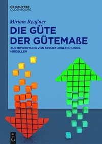 bokomslag Die Güte Der Gütemaße