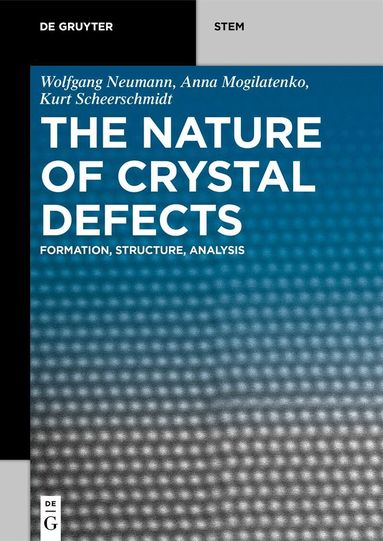 Wolfgang Neumann, Anna Mogilatenko, Kurt Scheerschmidt - Nature of Crystal Defects, Häftad