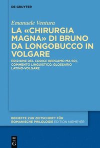 bokomslag La Chirurgia Magna di Bruno da Longobucco in volgare
