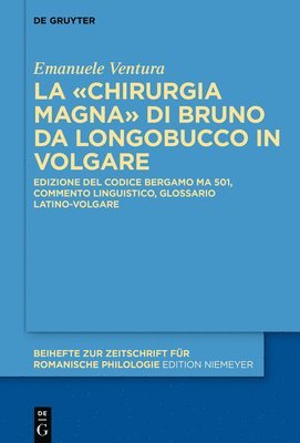 bokomslag La Chirurgia Magna di Bruno da Longobucco in volgare