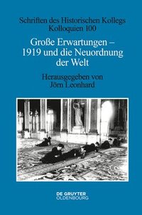 bokomslag Groe Erwartungen - 1919 Und Die Neuordnung Der Welt