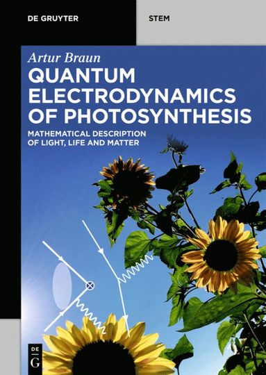 bokomslag Quantum Electrodynamics of Photosynthesis