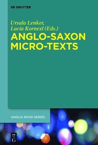 bokomslag Anglo-Saxon Micro-Texts