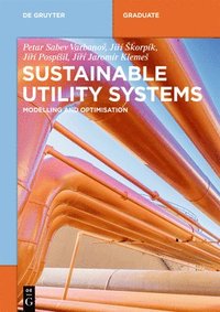 bokomslag Sustainable Utility Systems