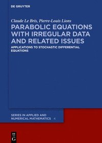 bokomslag Parabolic Equations with Irregular Data and Related Issues