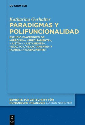 bokomslag Paradigmas y polifuncionalidad