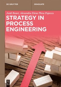 bokomslag Strategy in Process Engineering