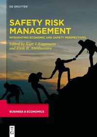 bokomslag Safety Risk Management