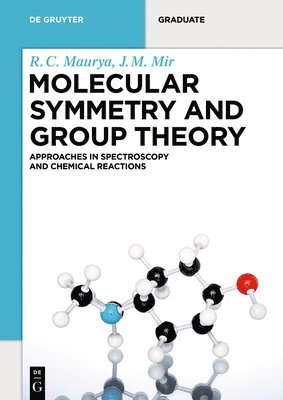 bokomslag Molecular Symmetry and Group Theory