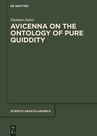 bokomslag Avicenna on the Ontology of Pure Quiddity
