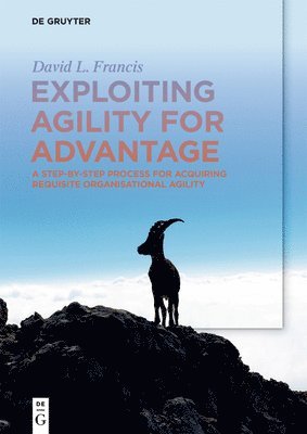 David L. Francis - Exploiting Agility for Advantage, Häftad