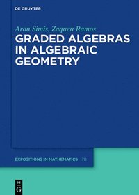bokomslag Graded Algebras in Algebraic Geometry
