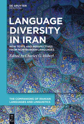 bokomslag Language Diversity in Iran