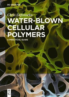 Chris Defonseka - Water-Blown Cellular Polymers, Häftad