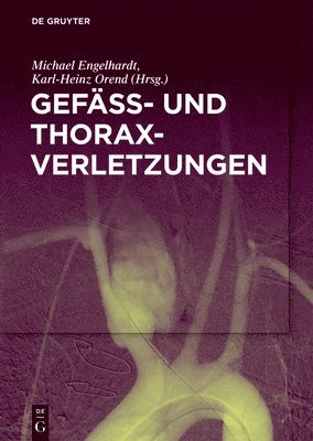 Michael Engelhardt, Karl-Heinz Orend - Gefäß- Und Thoraxverletzungen, Inbunden. Tillgänglighet: Tillfälligt slut