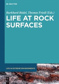 bokomslag Life at Rock Surfaces