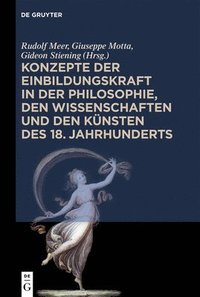 bokomslag Konzepte der Einbildungskraft in der Philosophie, den Wissenschaften und den Knsten des 18. Jahrhunderts